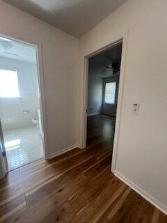 Building Photo - Now Available!