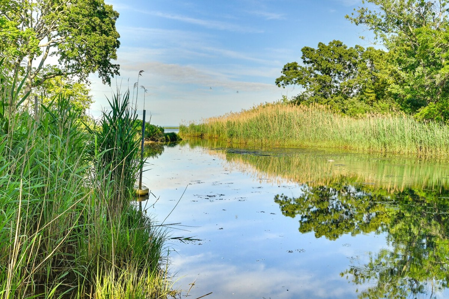 Building Photo - 67 Reeves Bay Trail