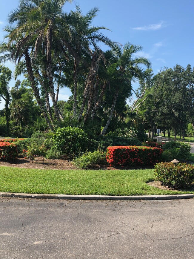 Lush Landscape - 13303 Broadhurst Loop