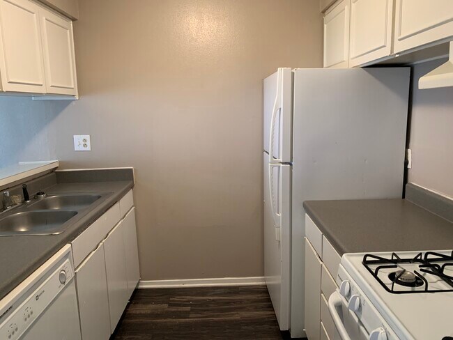 Kitchen - A&M Courtyard Apartments