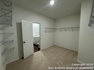 Building Photo - 133 Windmill Breeze