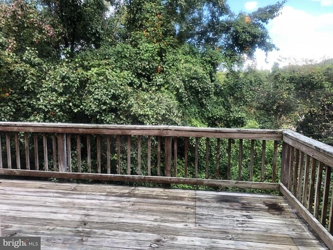 Building Photo - 203 Knollwood Ct