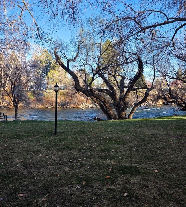 Building Photo - Amazing condo next to the Truckee River!
