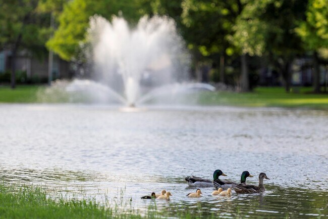 Building Photo - 1015 Longdraw Dr