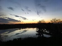 Building Photo - 3428 Soho St