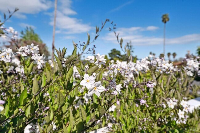 Building Photo - 31 Antilles Way