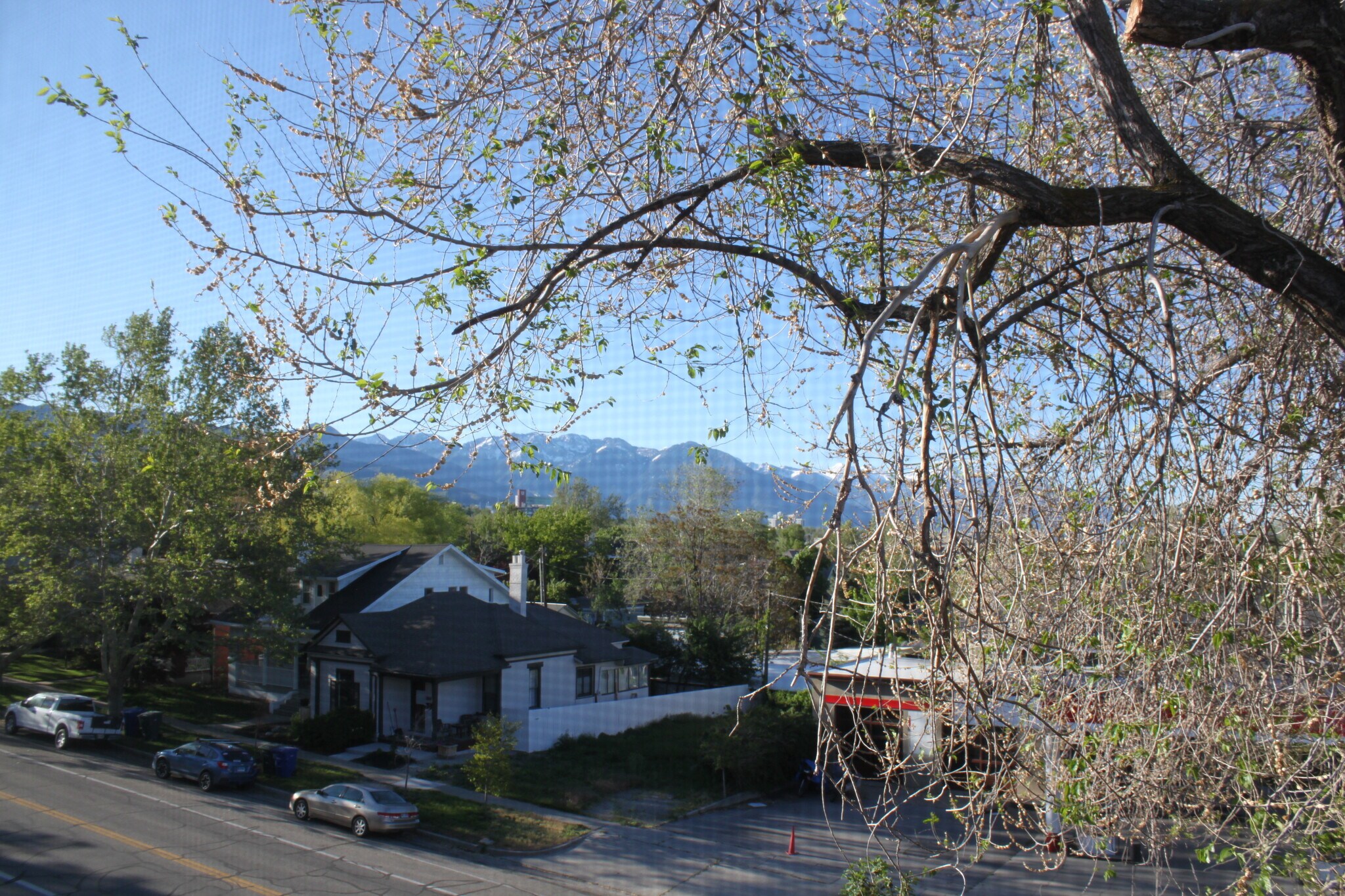 nice mountain / sunrise views from two of the bedrooms - 851 E 3rd Ave