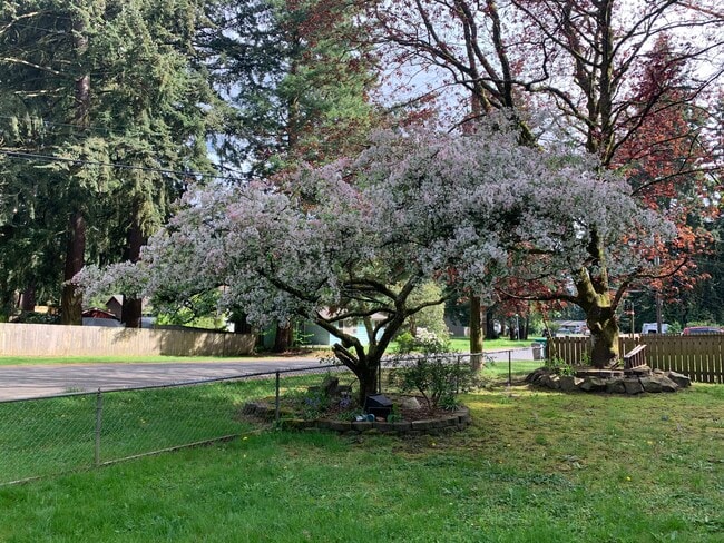 Building Photo - 23002 64th Ave W