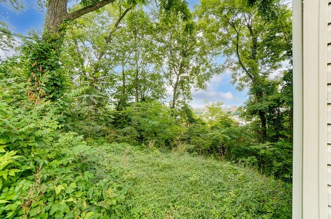Building Photo - 2 Bedroom, 1 Bath With Amazing Views!