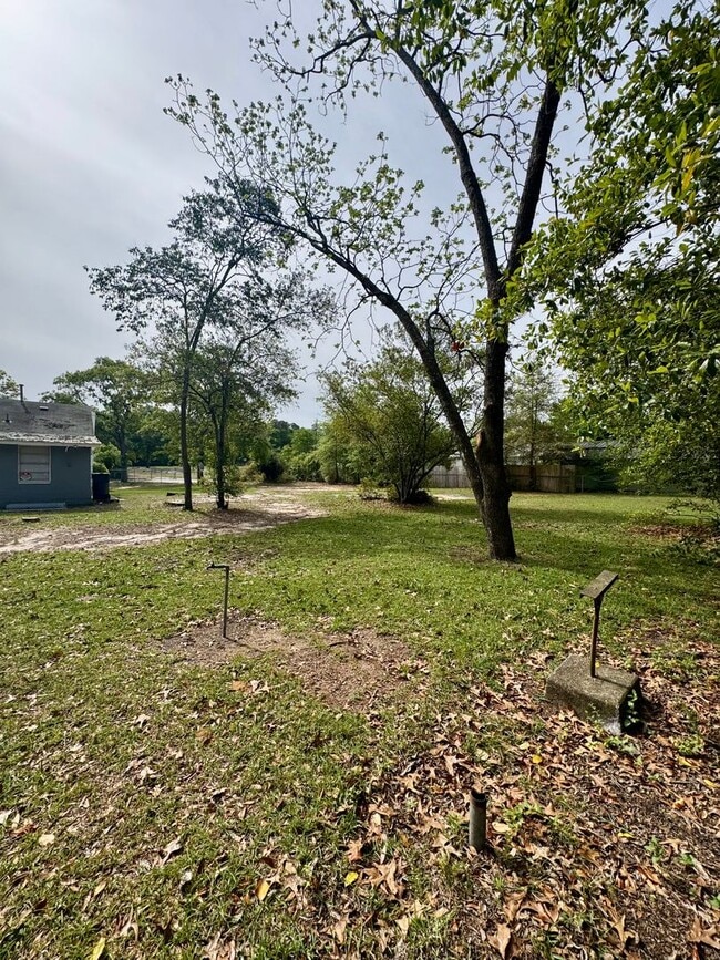 Building Photo - Unit B – Rear Home