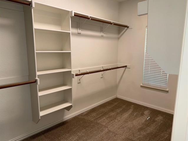 Building Photo - 1613 Clarke Springs Dr