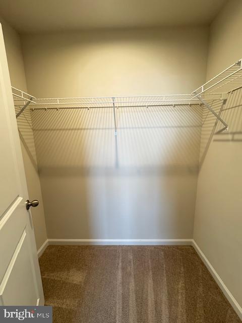 Building Photo - 488 Switchgrass Ct