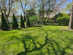 Building Photo - Three Bedroom One Bath Brick Ranch