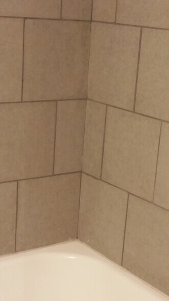 Bathroon - 450 Elmwood Dr