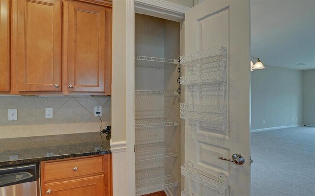 Building Photo - 6224 Ivy Stone Way