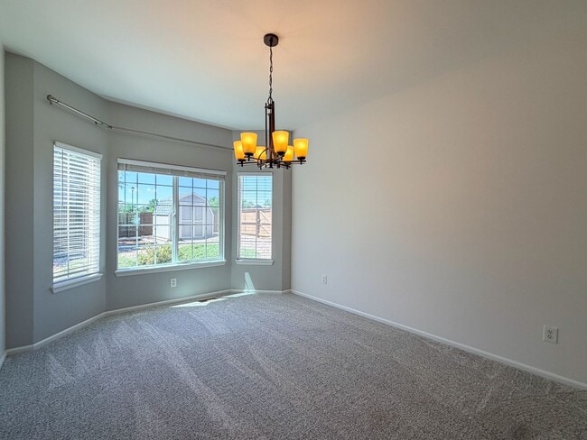 Building Photo - Beautiful, Spacious Home in Highlands Ranch