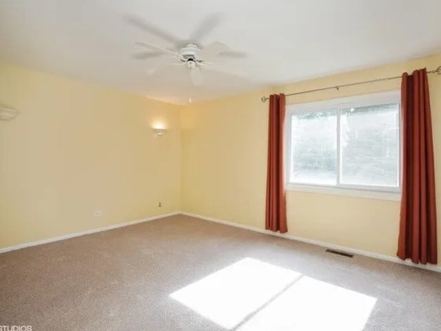 Building Photo - 4411 Bayside Cir