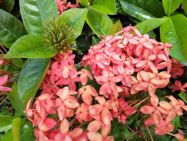 Building Photo - 1650 N 42ND Cir