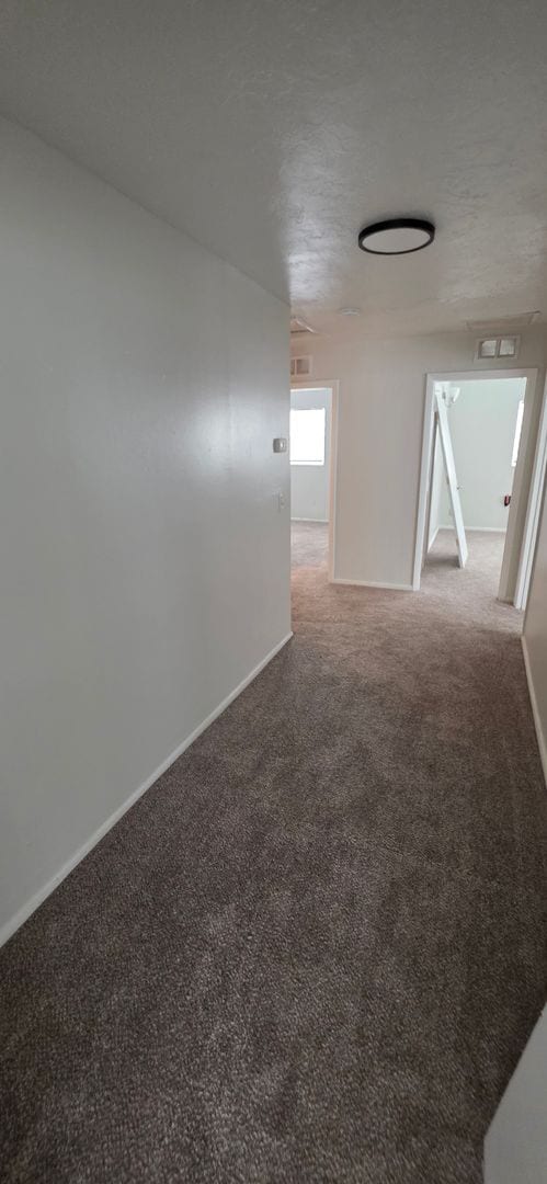 Building Photo - 3 bedroom 1 bath