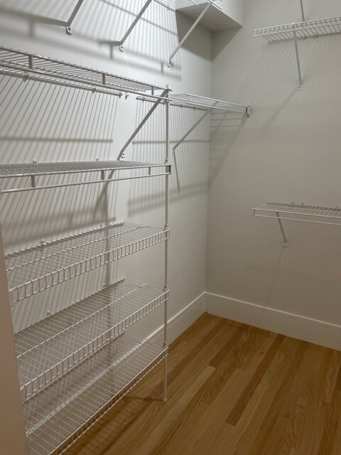 Master Walk in Closet - 1000 W Adams St