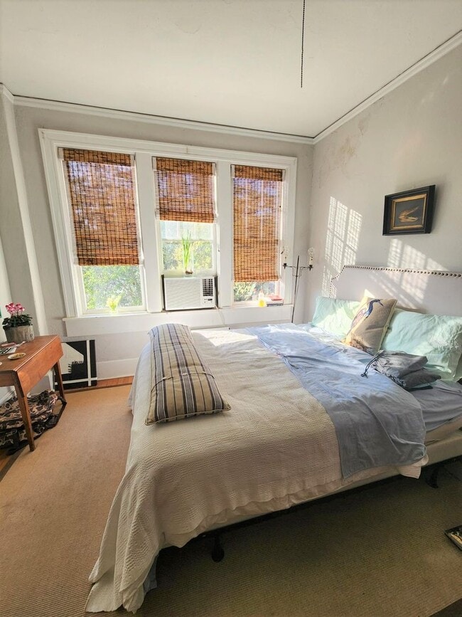 Building Photo - STUDIO DOWNTOWN RUTLEDGE AVENUE-AVAILABLE AUGUST 1, 2026