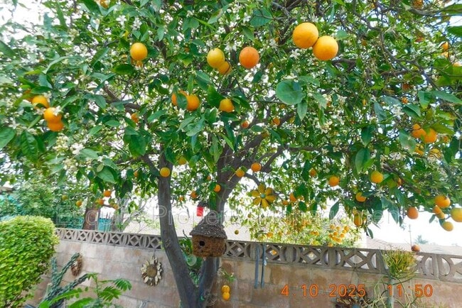 Building Photo - 23B LEMON DR.