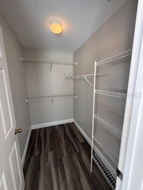 Building Photo - 1989 Summer Club Dr