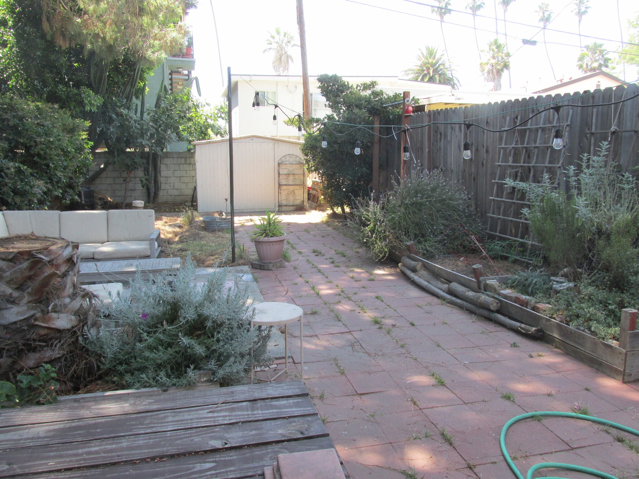 Backyard and shed - 1223 N Hoover St