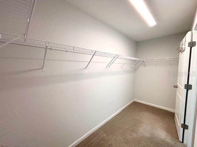 Building Photo - 72 Birchfield Ln