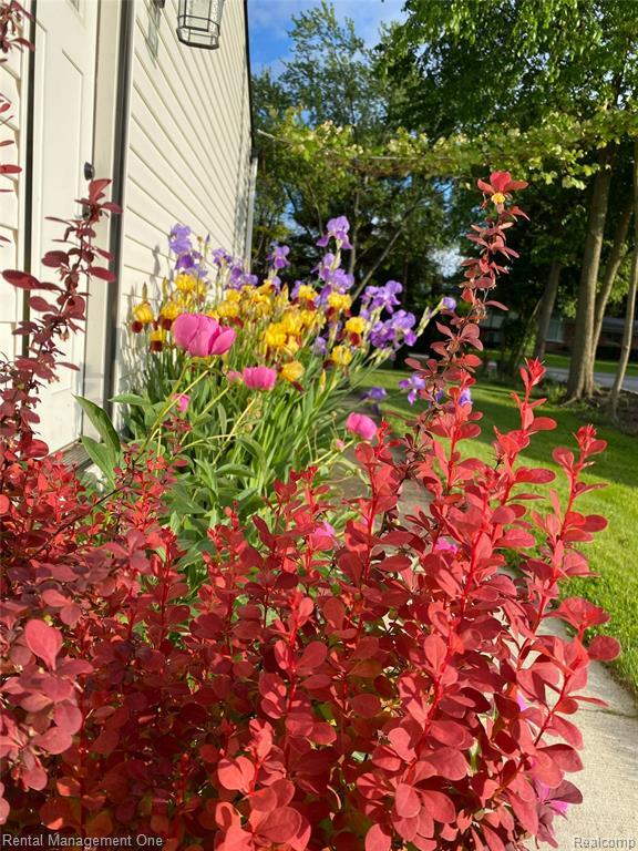 Building Photo - 174 Lange Ave