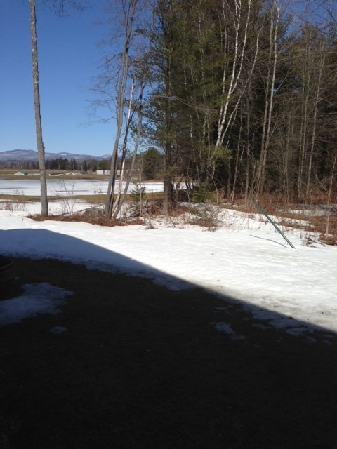 Building Photo - Catamount Townhouses