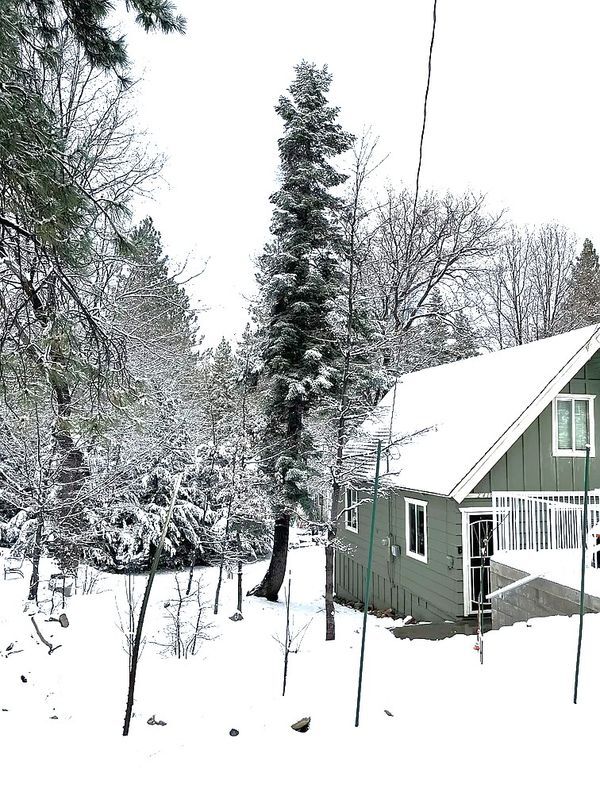 Building Photo - 2418 Fir Dr