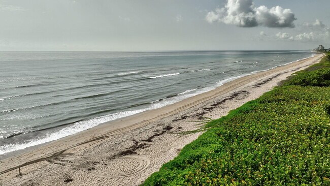 Building Photo - 7420 S Ocean Dr