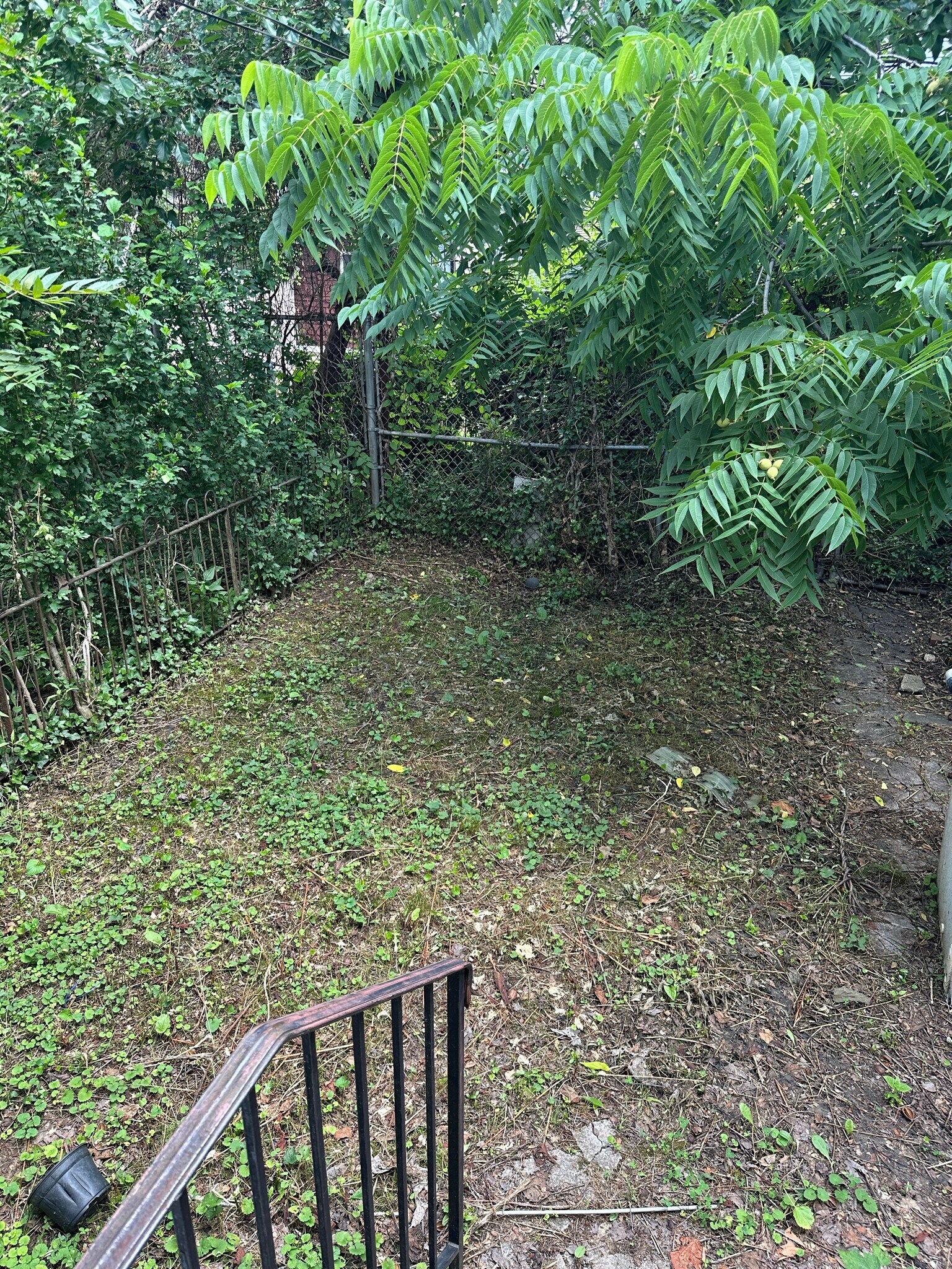 private back yard - 6020 Kershaw St