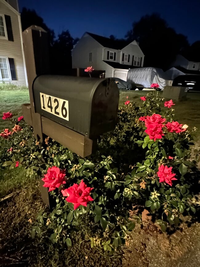 Primary Photo - 1426 Riverline Trail