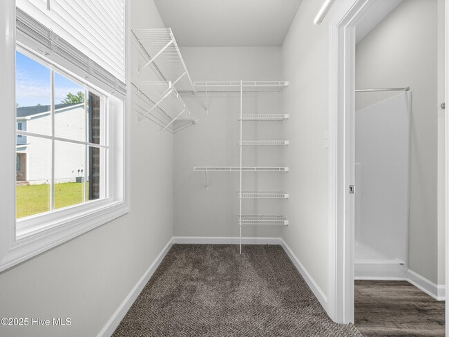 Building Photo - 908 Freewoods Ct