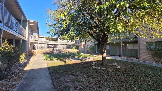 Building Photo - One bedroom one bath in Balcones Heights ready for move in!
