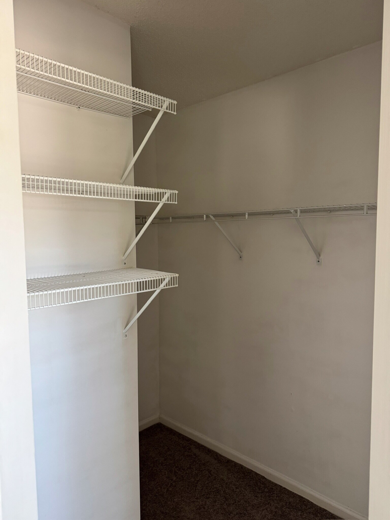 Building Photo - 103 Toura Ln