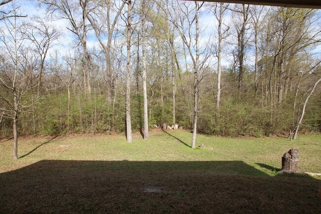 Building Photo - Stunning 3 Bedroom in Vineyard Estates Com...