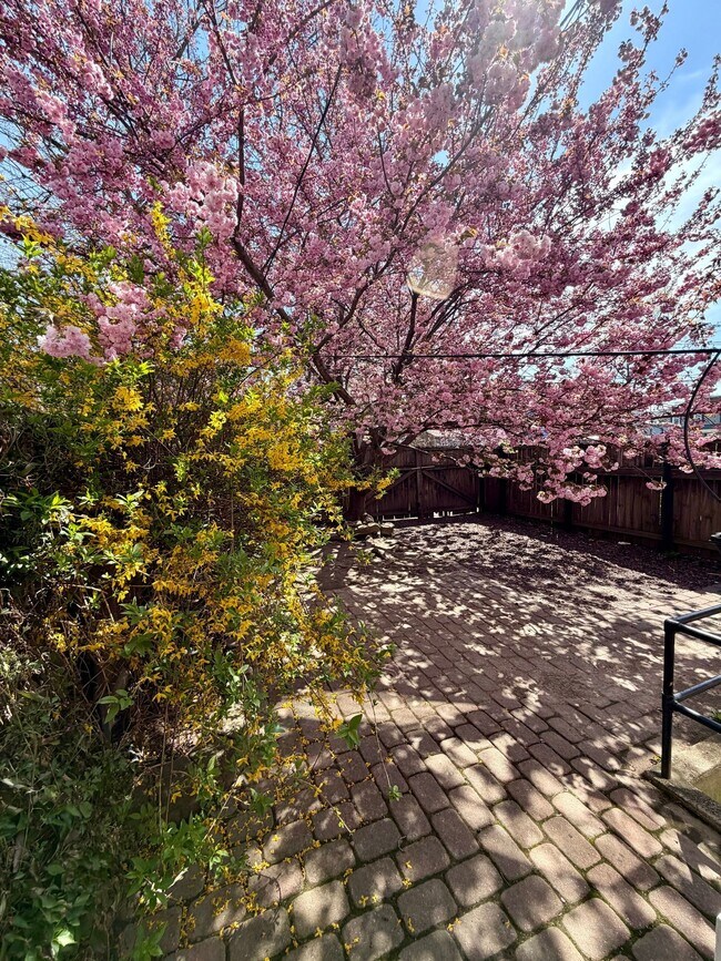 Building Photo - 738 E Madison St