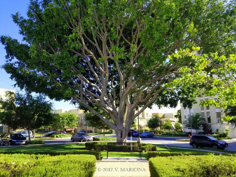 Three Sixty features several green spaces for leisurely walks or just hanging out. - 13019 Park Pl