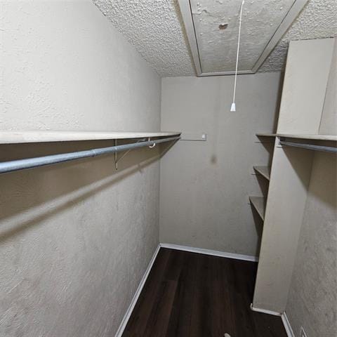 Building Photo - 1510 Cherrycrest Ln