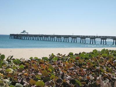 Building Photo - 3000 S Ocean Blvd