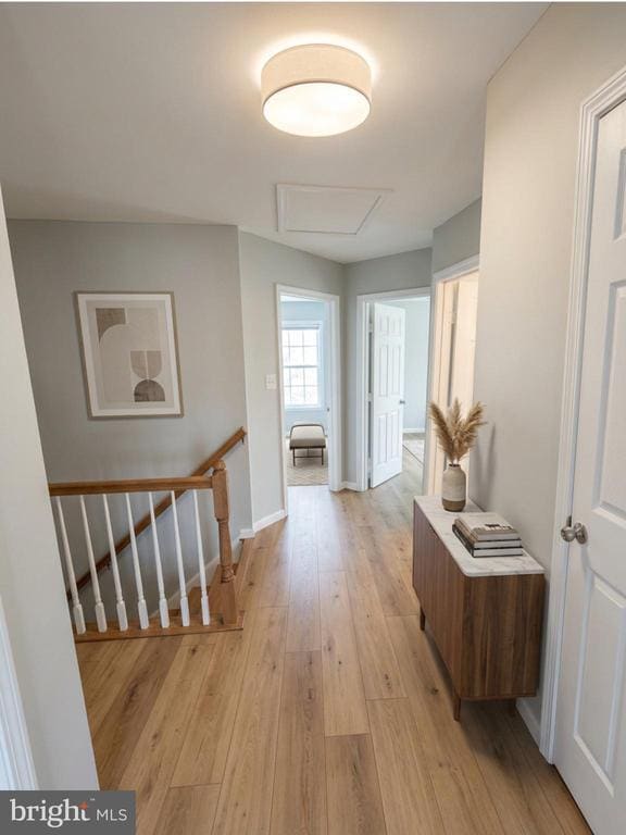 Building Photo - 15164 Brazil Cir