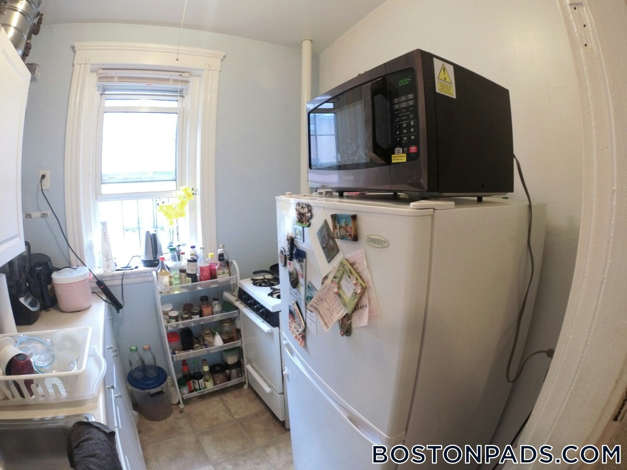 Building Photo - 1450 Commonwealth Ave