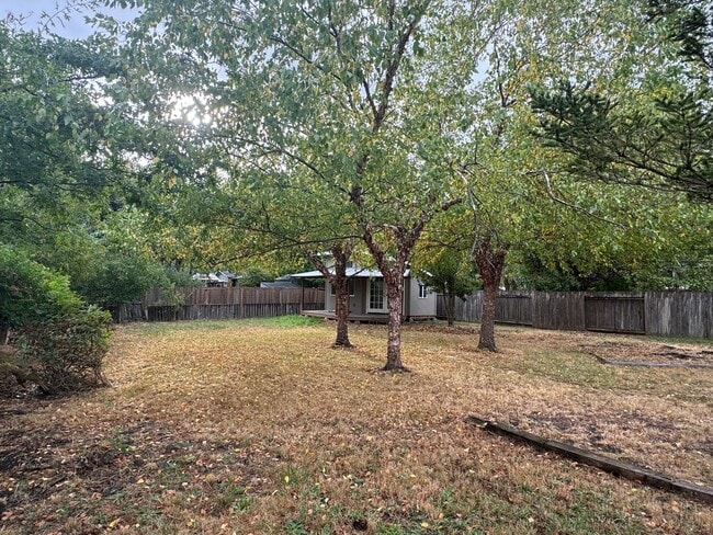 Building Photo - 3+ Bedroom House in Friendly Area