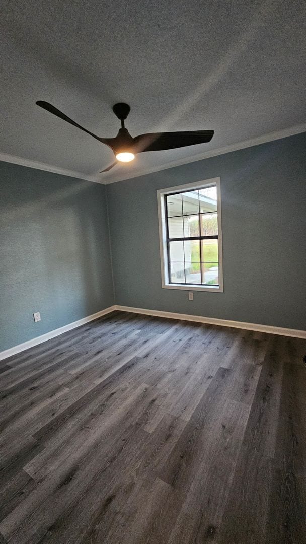 Building Photo - Beautiful 4BR 2BA home in Lakeland, GA
