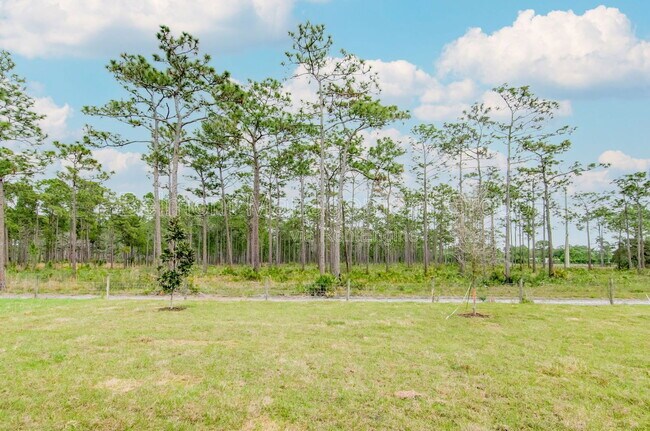 Building Photo - 5636 Quiet Palm Lp