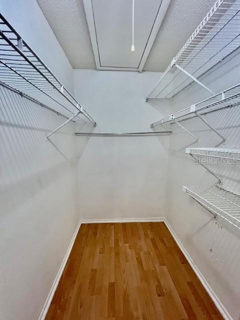 Building Photo - 11536 Baywood Meadows Dr