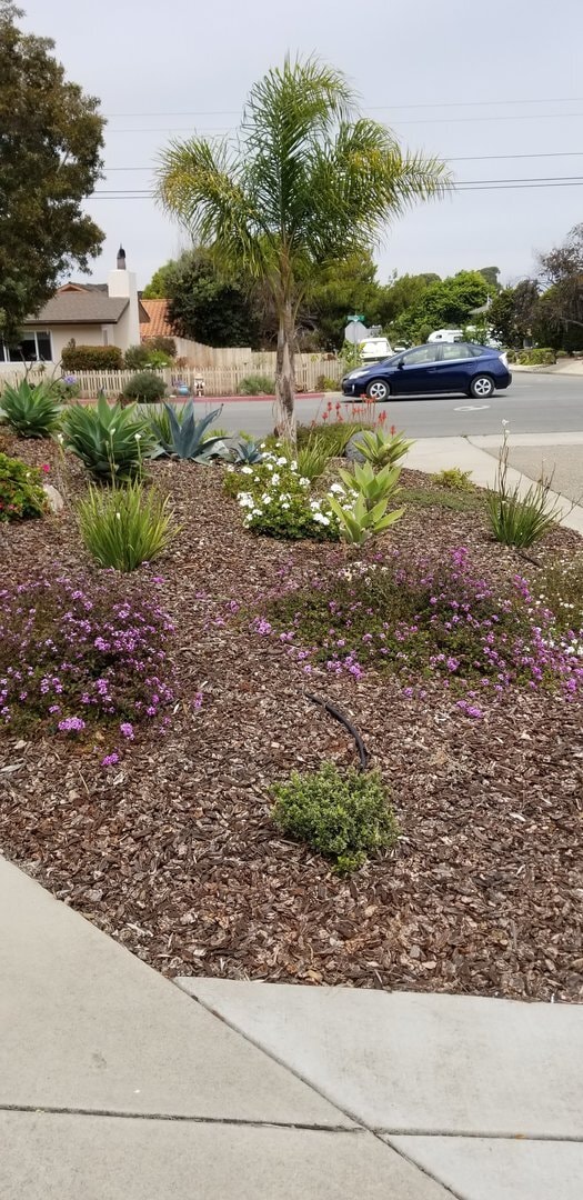 Building Photo - Beautiful home in Sunset Terrace for Rent!